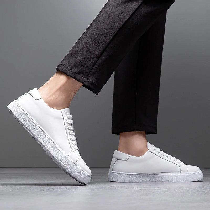 Franco | Herren Sneaker aus Kunstleder